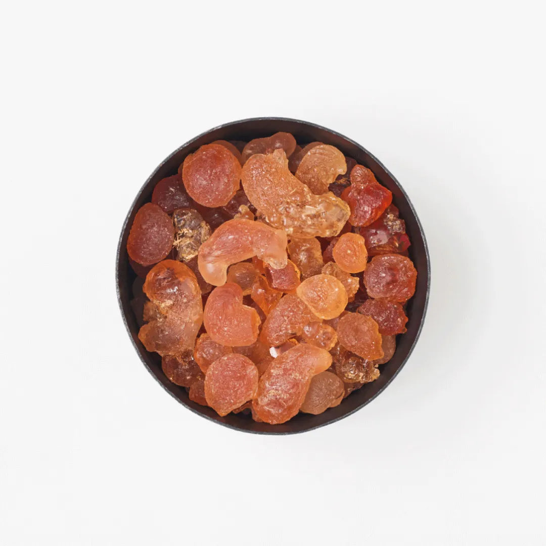 HOME FRAGRANCE|Pot Pourri vegetal amber|ポプリ|ホーム